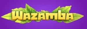 Como jogar double blaze iniciante